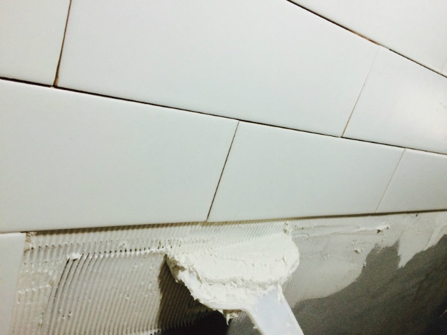 IMG_1050_uP.JPG