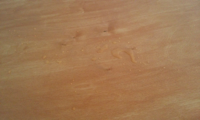 20140801_165948.jpg
