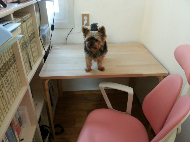20141129_150828.jpg
