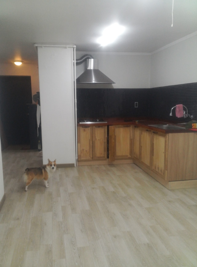 20141110_2150321.jpg