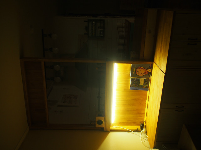 P1121050.JPG