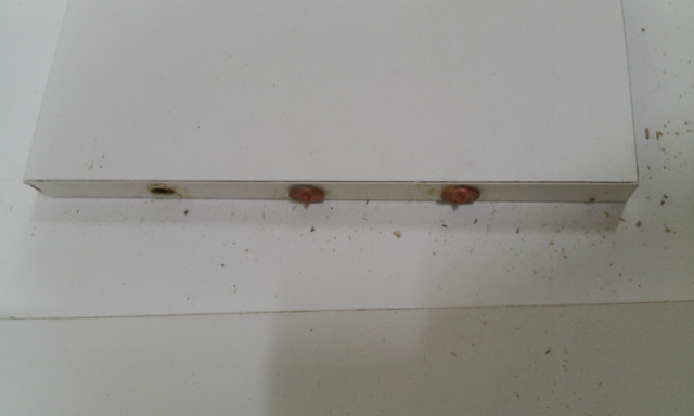 20150321_1539593.jpg