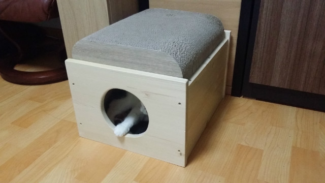 20150412_184107.jpg