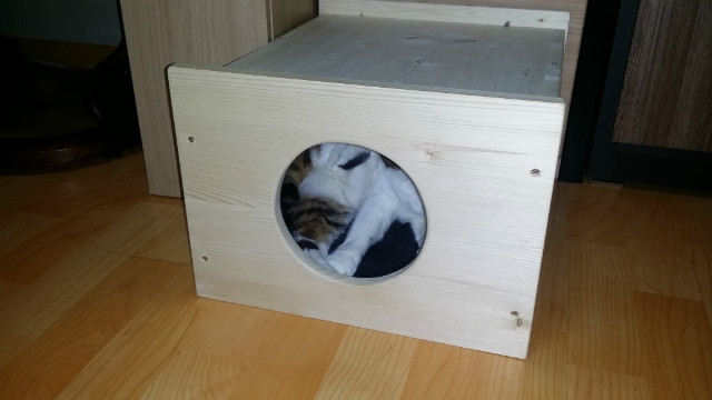 20150412_184226.jpg