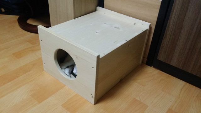 20150412_184155.jpg