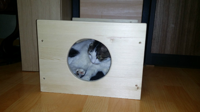20150412_184238.jpg