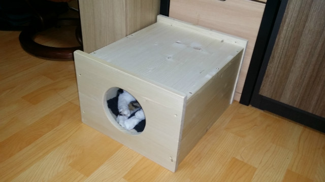 20150412_184247.jpg