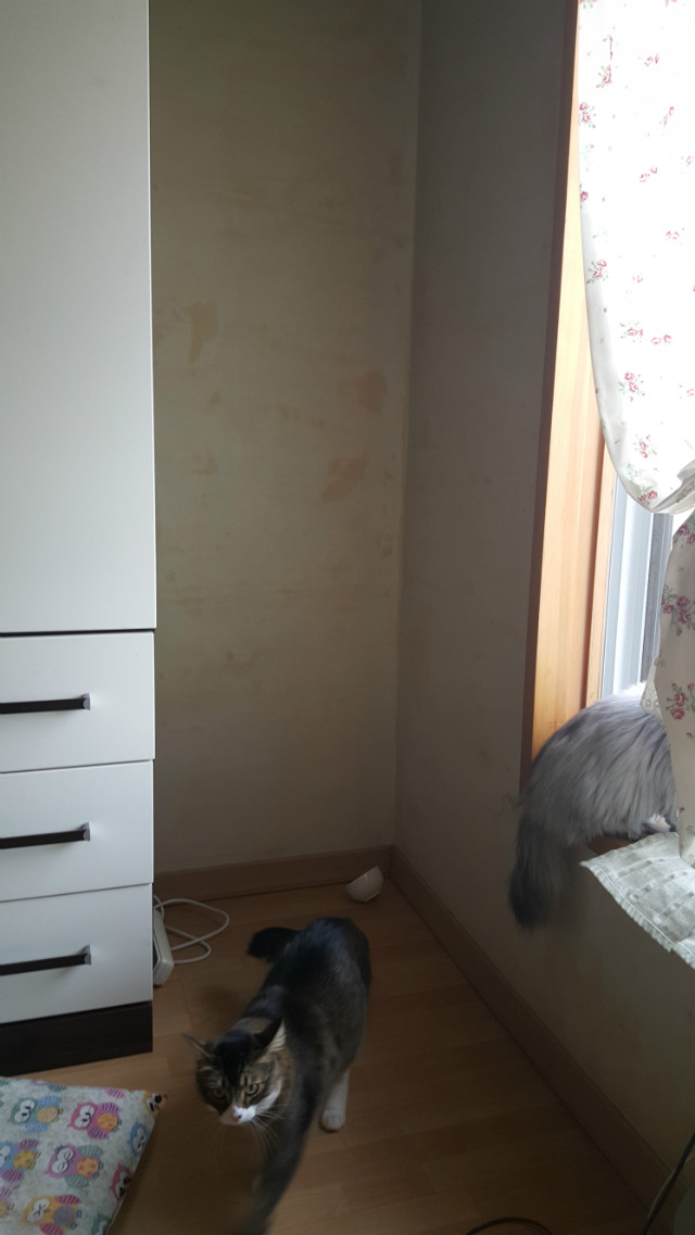 20150418_135849.jpg