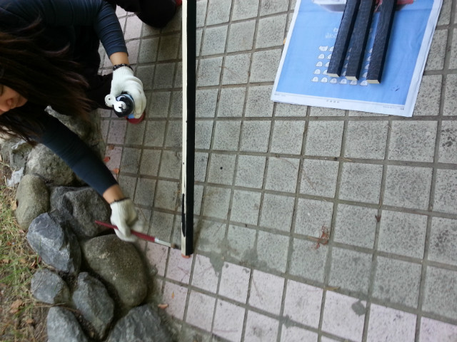 20141016_131650.jpg