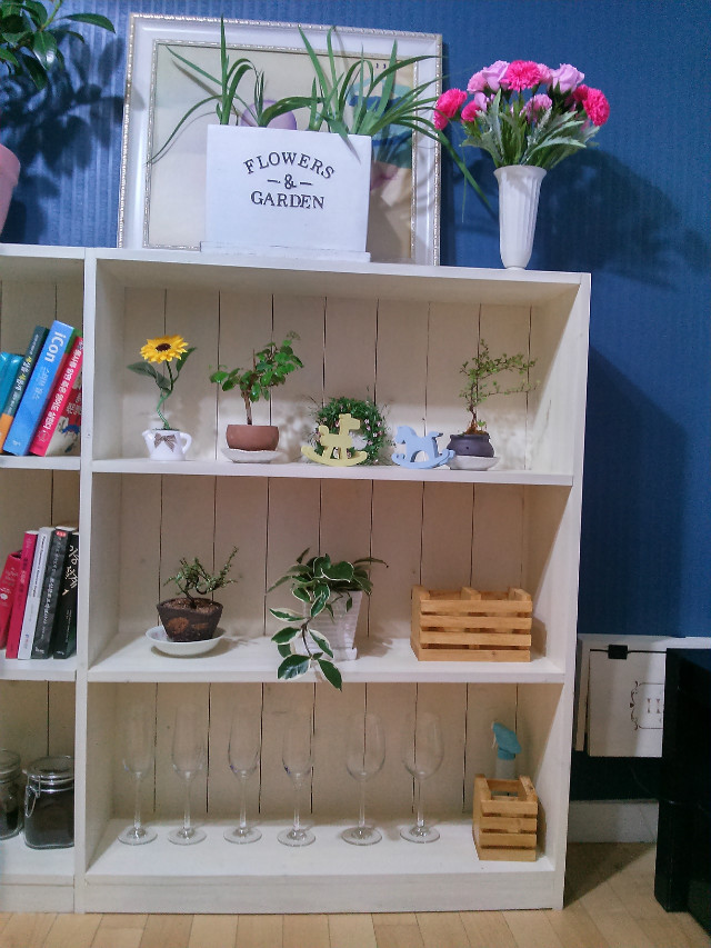 회전_20150501_182742_HDR.jpg