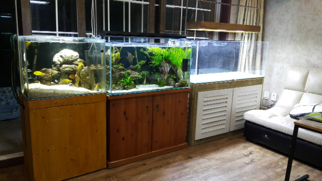 20150514_204103.jpg