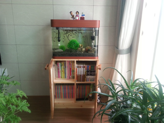 20150805_101134.jpg