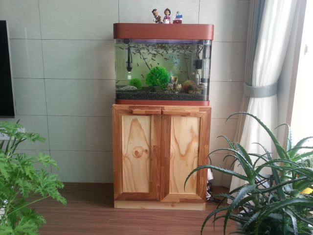 20150805_101110.jpg