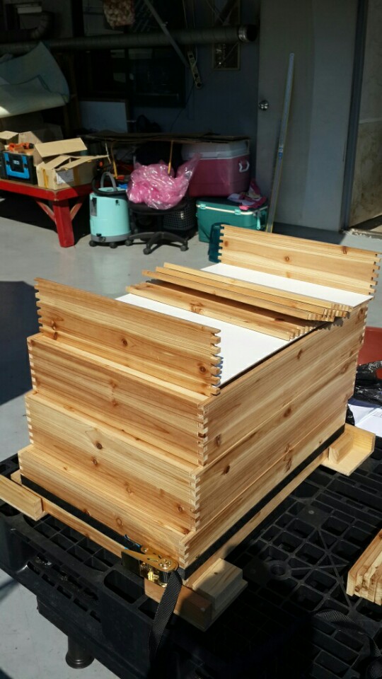 KakaoTalk_20150921_154319751.jpg