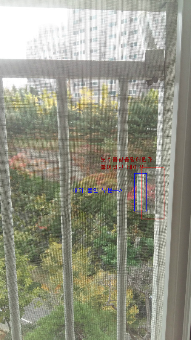 20151026_124624.jpg