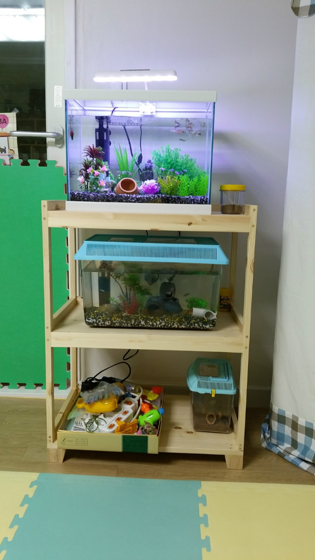 20151101_232135.jpg