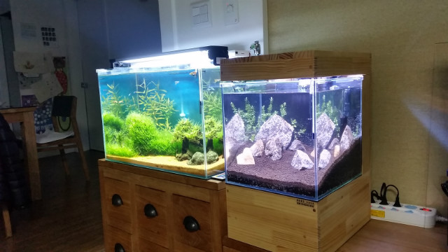 20151220_075316.jpg