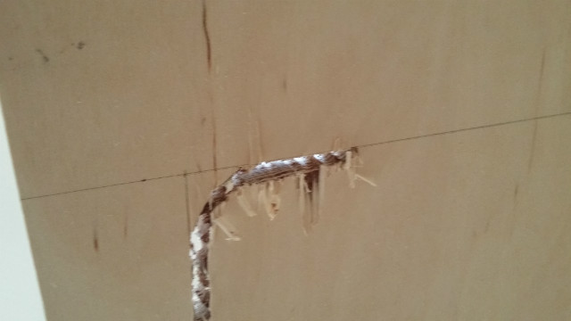 20160110_095038.jpg
