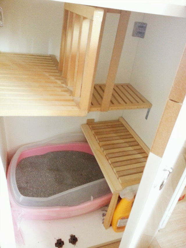 KakaoTalk_20160617_131722023.jpg