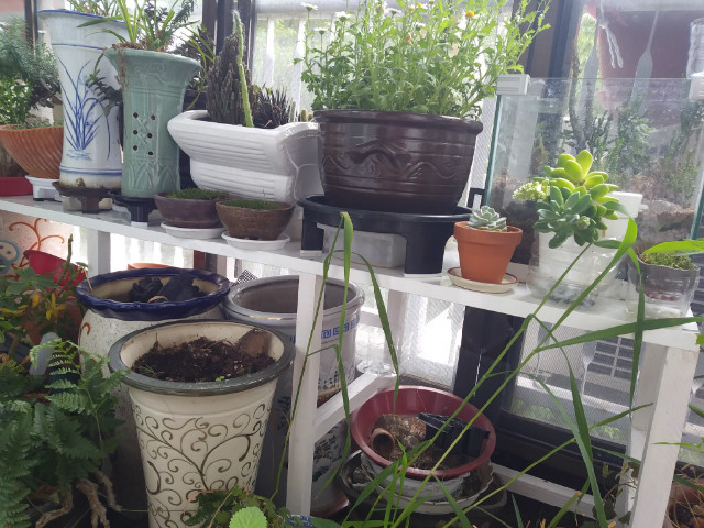 20170422_150243.jpg