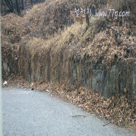 이젠 찍을때가 12월 부터 접수한제품은 불도장을 찍어서 보내 드립니다.