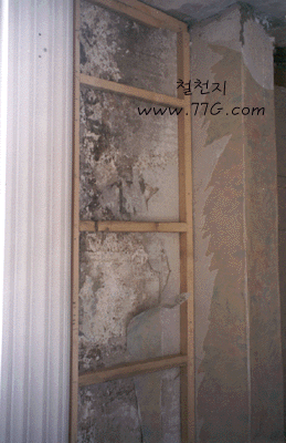 qa373901.gif (79646 bytes)