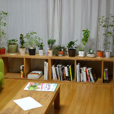 집성목 책장 겸 화분받침대