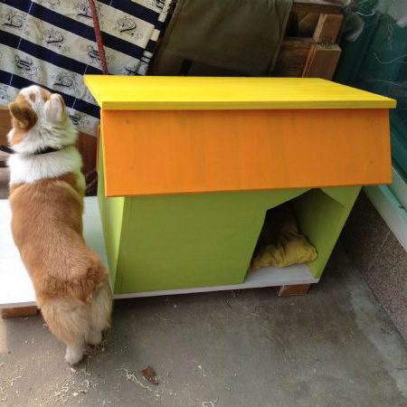 나무로 만든 강아지집…