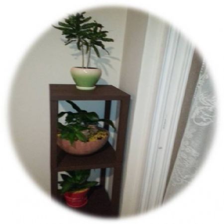 처음 만들어 본 화분대