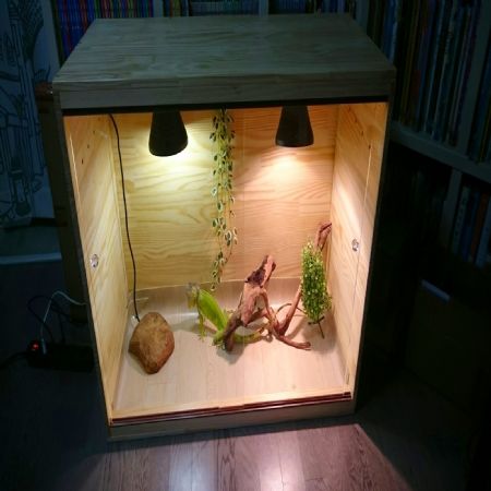 초보의 사육장(이구아나) 만들기