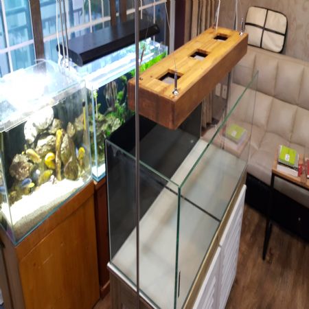 자작나무와 홍송으로 만든 어항 등갓