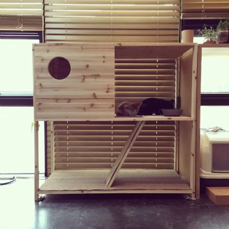 삼나무로 만든 고양이 집