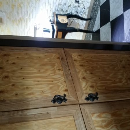 붙밖이장~애쉬나무와낙엽송