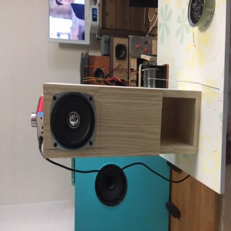 Back Loaded horn speaker