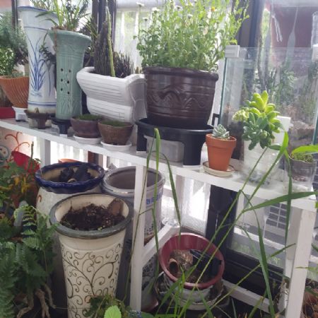 일반 각목으로 만든 화분 받침대 2