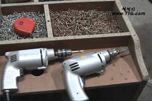 diy24904.gif (48977 bytes)