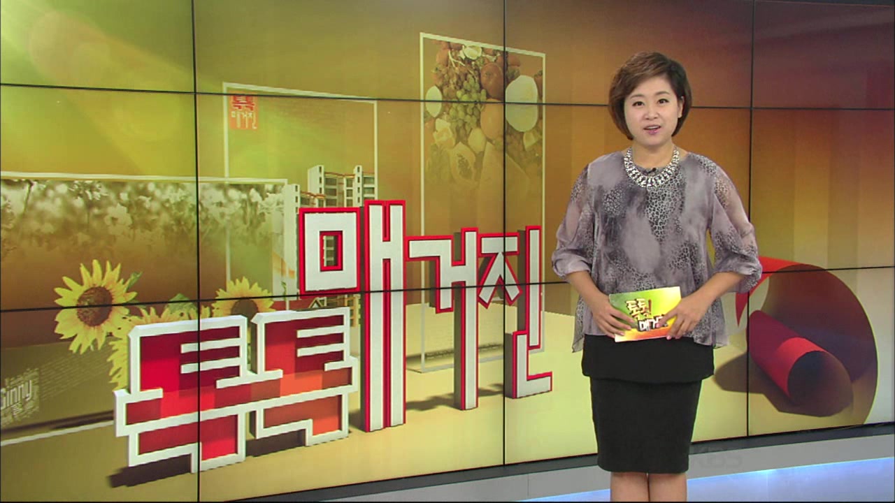 KBS 아침뉴스타임 톡톡매거진 집안손질 내손으로 뚝딱 (KBS 13.08.26)