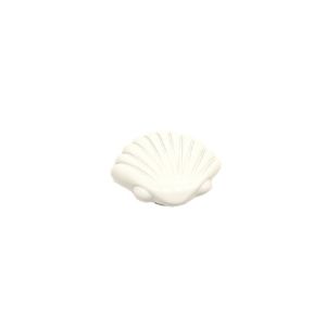 레인보우 꼬막 화이트