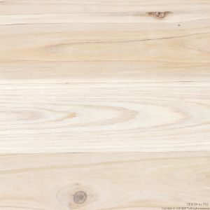 삼나무 Top Finger 1209X2403X12mm