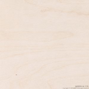 고급가구용 자작합판 (러시아 SBB등급) 1209X2400X12mm