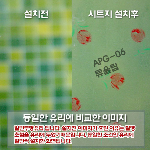 글라스 APG-06 튜울립 (1P) 5