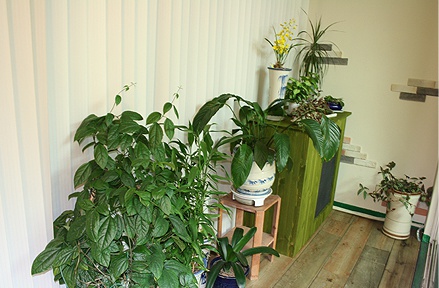 77g_com_20130801_093552.jpg