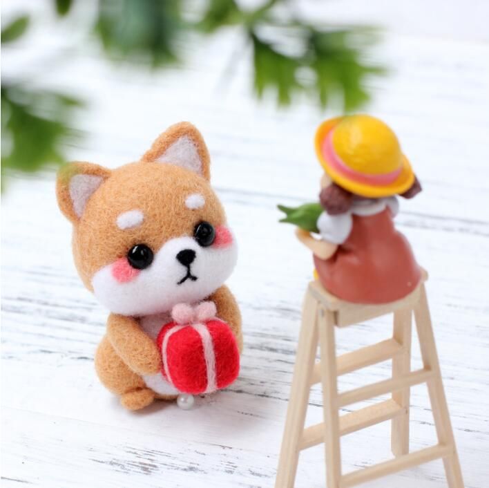 선물 안은 시바견 B25 1