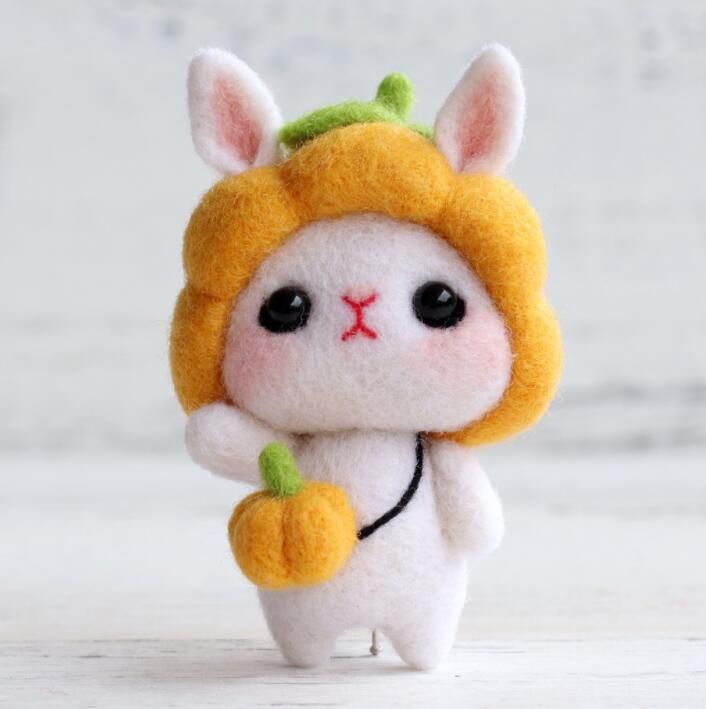 귤모자 토끼 C05 1