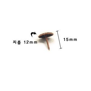 비오 구리 압핀 10개 2