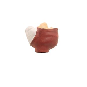 일곱난쟁이 (KT2821) 2