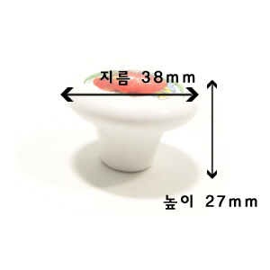 애플 (KT6519) 3